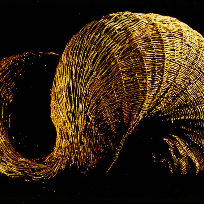Zelma Loseke 