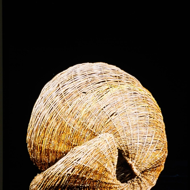 Zelma Loseke 