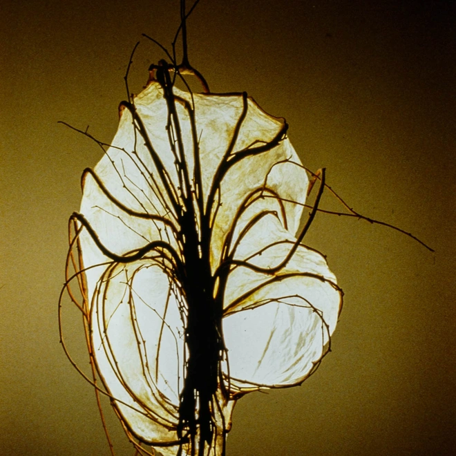 Zelma Loseke 