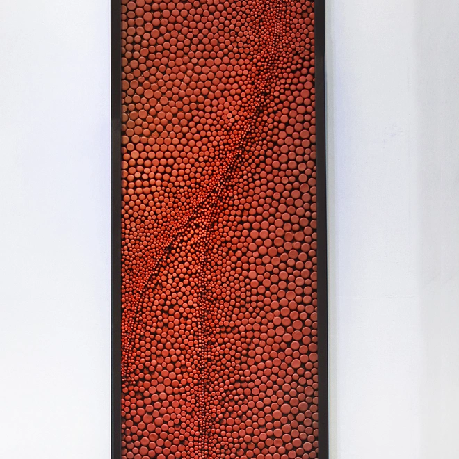 Justin Teilhet 