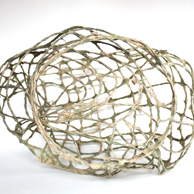 Kirstin Demer 