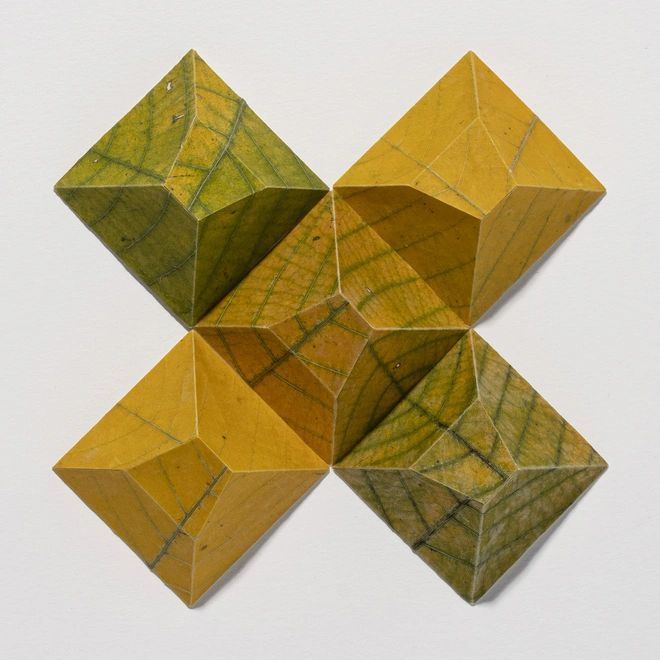 Jody Graff 