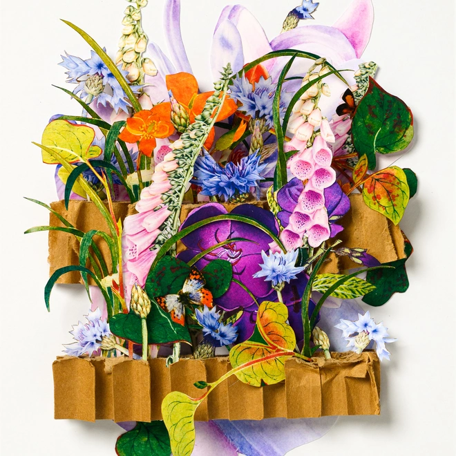 Kim Breit 